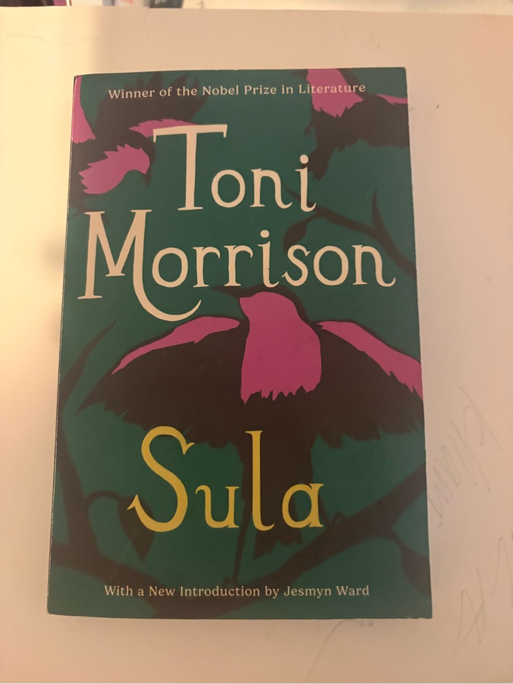 Toni Morrison "Sula" Paperback Book - Teal & Pink Cover